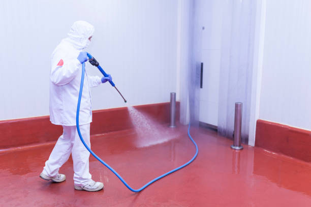 Best Restaurant Pressure Washing  in Eddystone, PA