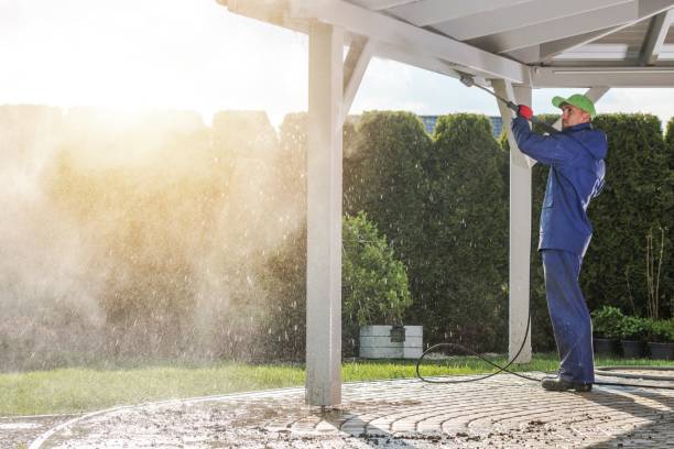 Best Driveway Pressure Washing  in Eddystone, PA